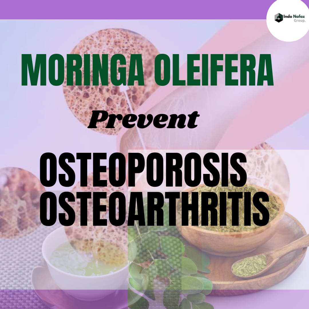 Kelor Atasi Obesitas